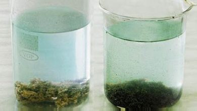 Photo of Определение флокулянтов