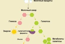 Photo of Что такое галактоземия?