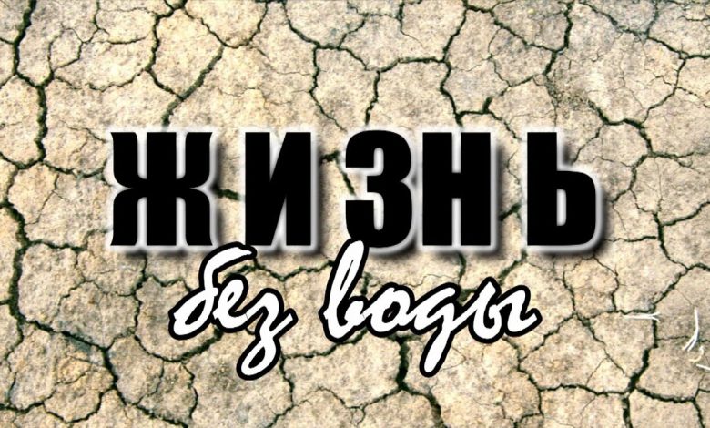 Photo of Как вода влияет на нашу жизнь?
